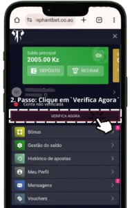Como verificar conta na Elephant Bet